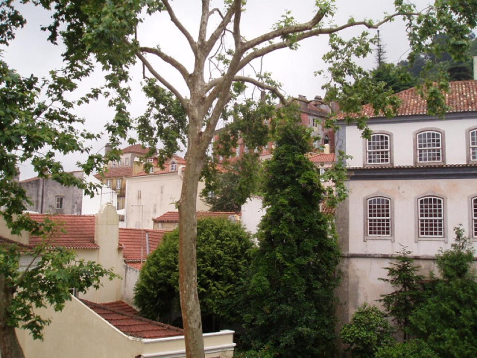 Espaco Edla Sintra Exteriér fotografie